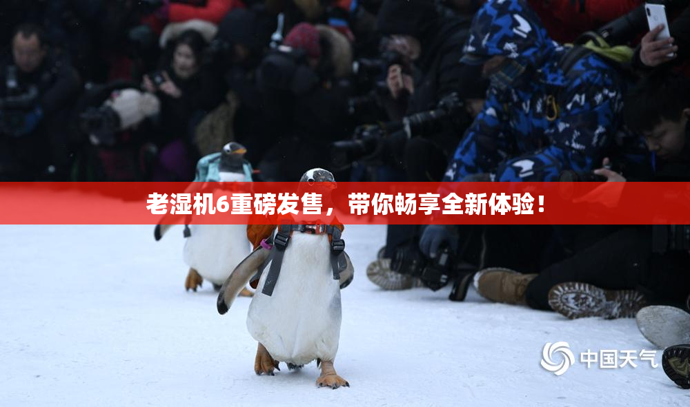 老湿机6重磅发售，带你畅享全新体验！