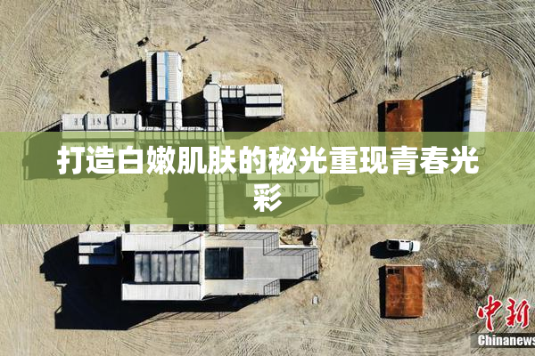 打造白嫩肌肤的秘光重现青春光彩