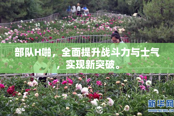 部队H啪，全面提升战斗力与士气，实现新突破。