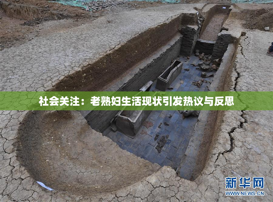 社会关注：老熟妇生活现状引发热议与反思