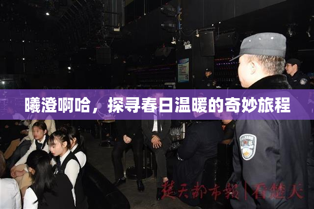 曦澄啊哈，探寻春日温暖的奇妙旅程