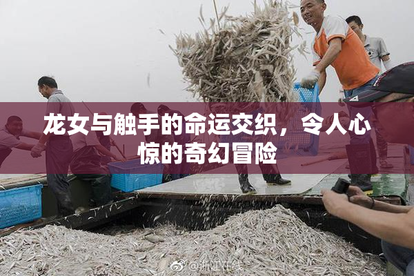 龙女与触手的命运交织，令人心惊的奇幻冒险