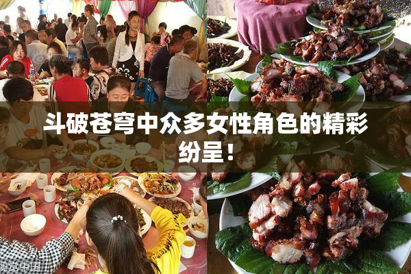 斗破苍穹中众多女性角色的精彩纷呈！