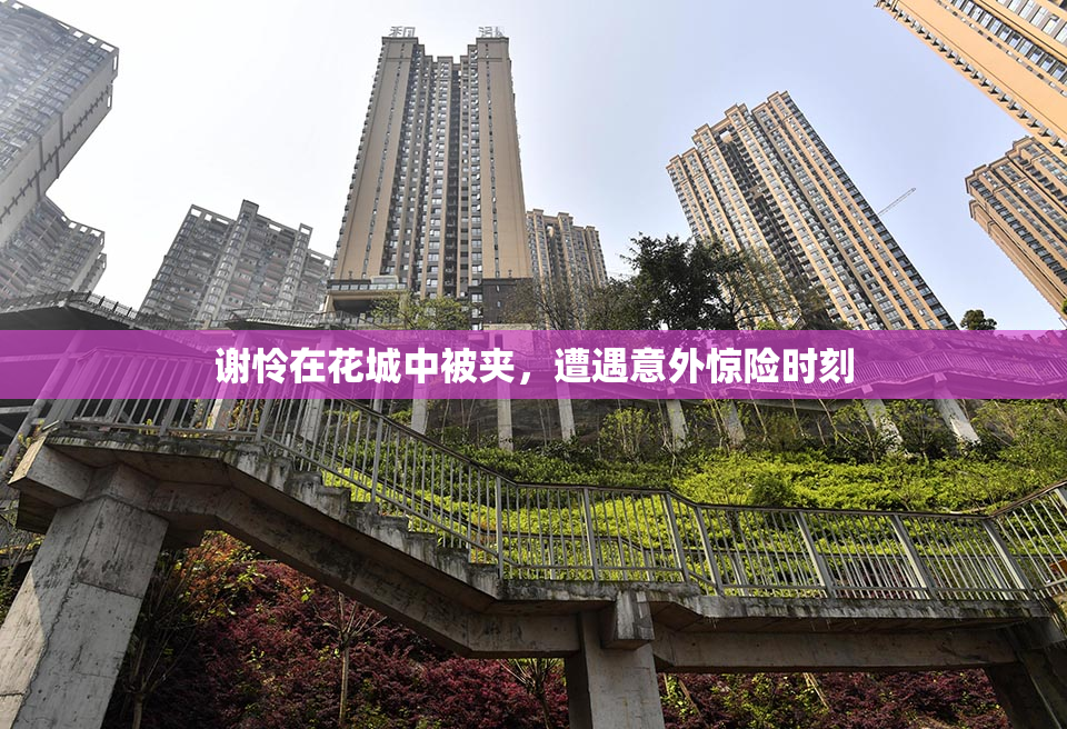 谢怜在花城中被夹，遭遇意外惊险时刻