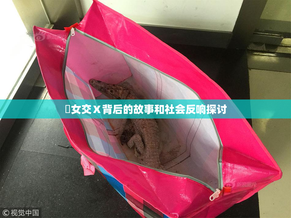 乣女交Ⅹ背后的故事和社会反响探讨