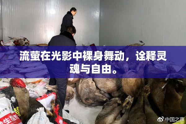 流萤在光影中裸身舞动，诠释灵魂与自由。