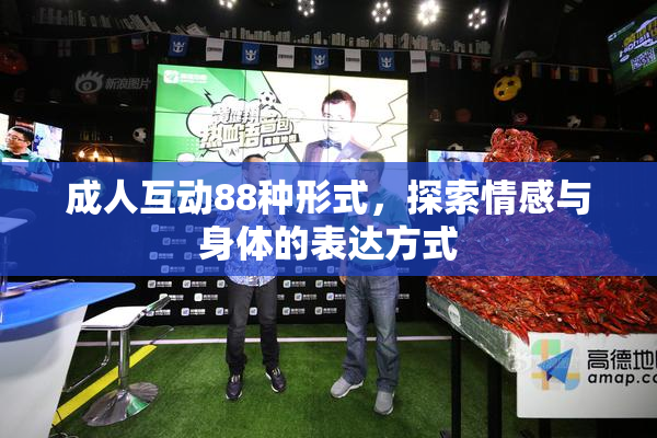 成人互动88种形式，探索情感与身体的表达方式