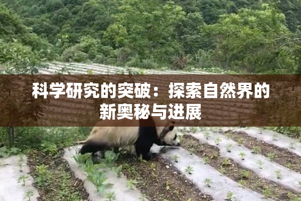 科学研究的突破：探索自然界的新奥秘与进展