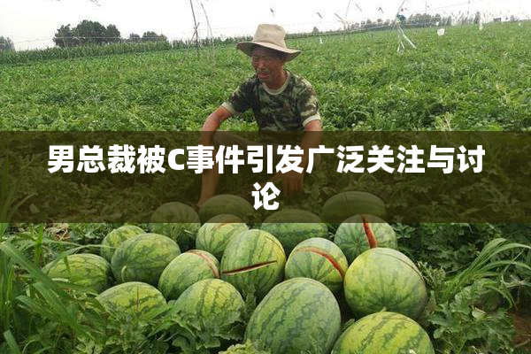 男总裁被C事件引发广泛关注与讨论