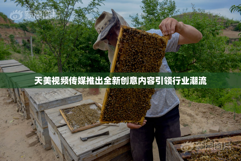 天美视频传媒推出全新创意内容引领行业潮流