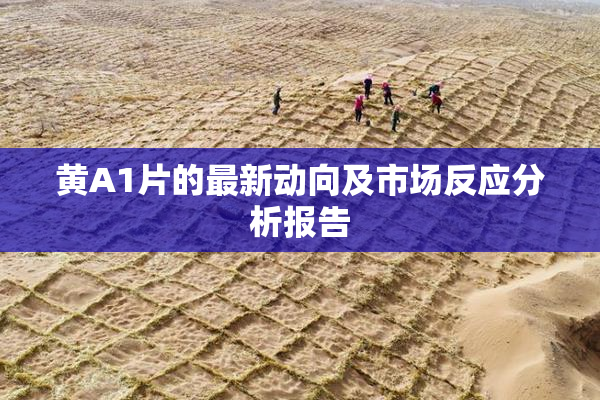 黄A1片的最新动向及市场反应分析报告