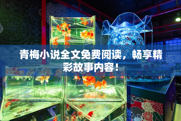 青梅小说全文免费阅读，畅享精彩故事内容！