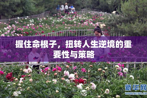 握住命根子，扭转人生逆境的重要性与策略