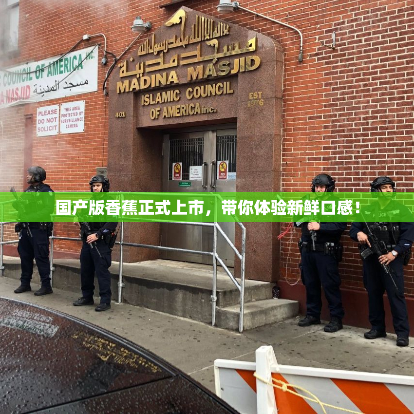 国产版香蕉正式上市，带你体验新鲜口感！