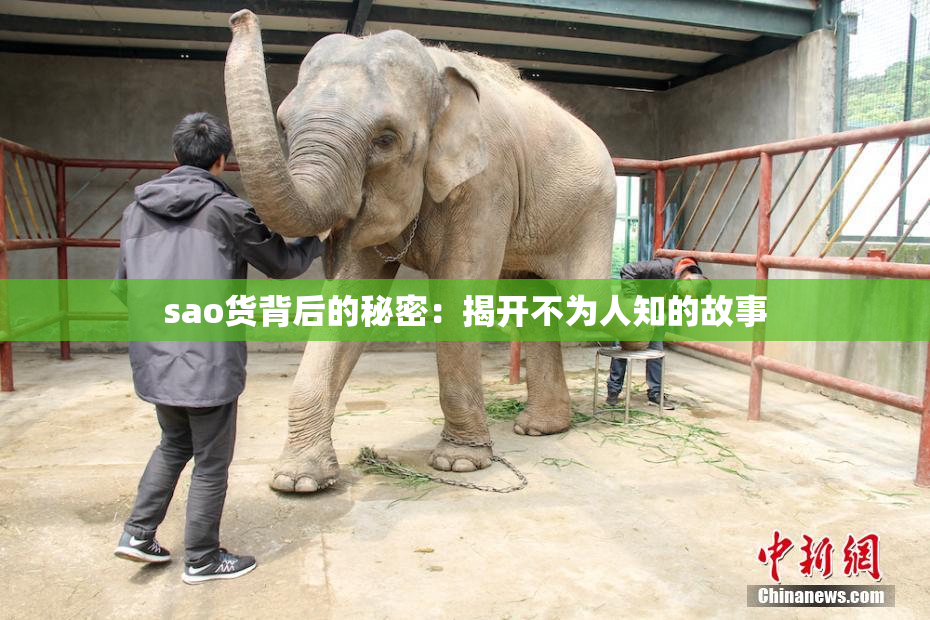 sao货背后的秘密：揭开不为人知的故事