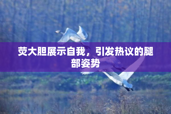 荧大胆展示自我，引发热议的腿部姿势