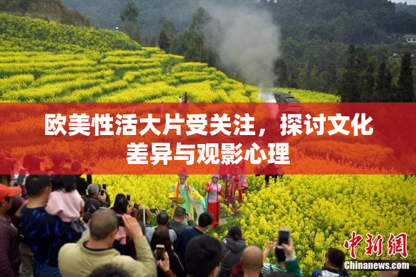 欧美性活大片受关注，探讨文化差异与观影心理
