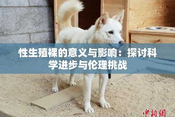 性生殖裸的意义与影响：探讨科学进步与伦理挑战