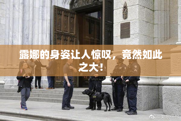 露娜的身姿让人惊叹，竟然如此之大！