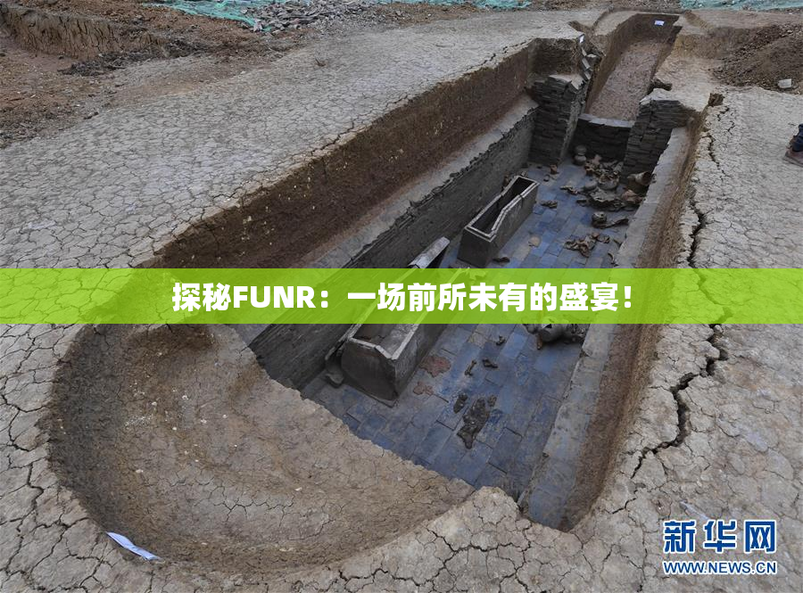 探秘FUNR：一场前所未有的盛宴！