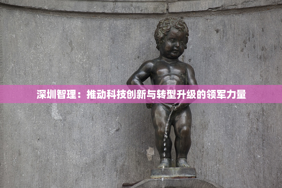 深圳智理：推动科技创新与转型升级的领军力量