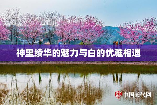 神里绫华的魅力与白的优雅相遇
