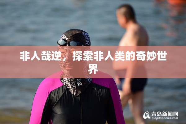 非人哉逆，探索非人类的奇妙世界