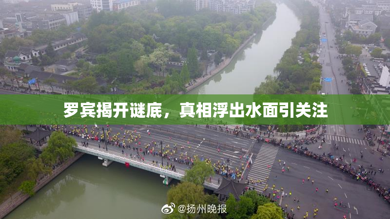 罗宾揭开谜底，真相浮出水面引关注