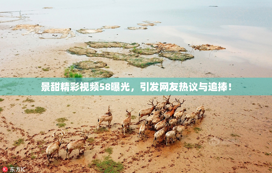 景甜精彩视频58曝光，引发网友热议与追捧！