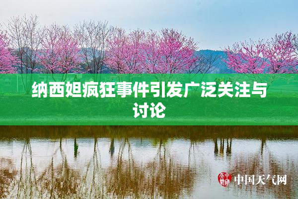 纳西妲疯狂事件引发广泛关注与讨论