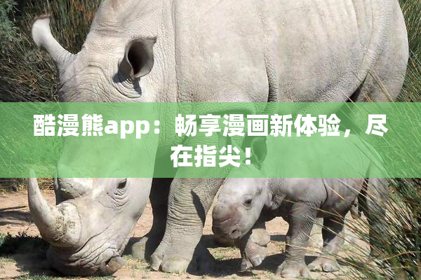 酷漫熊app：畅享漫画新体验，尽在指尖！