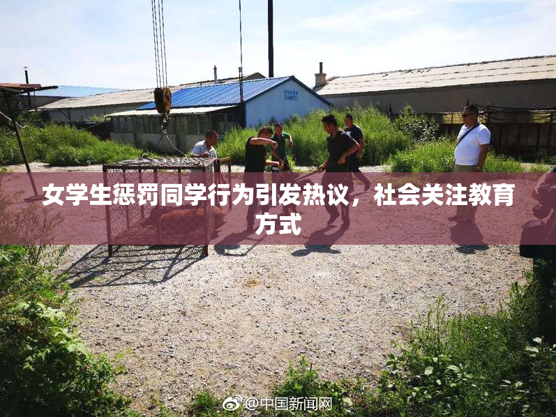 女学生惩罚同学行为引发热议，社会关注教育方式