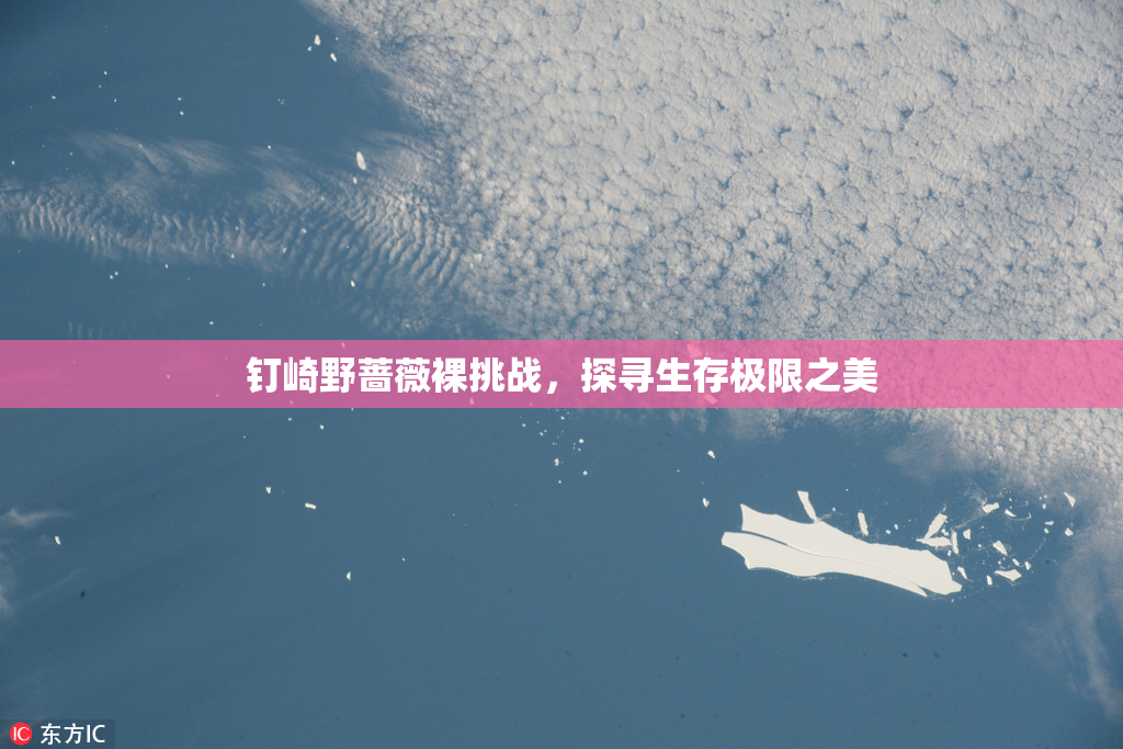 钉崎野蔷薇裸挑战，探寻生存极限之美