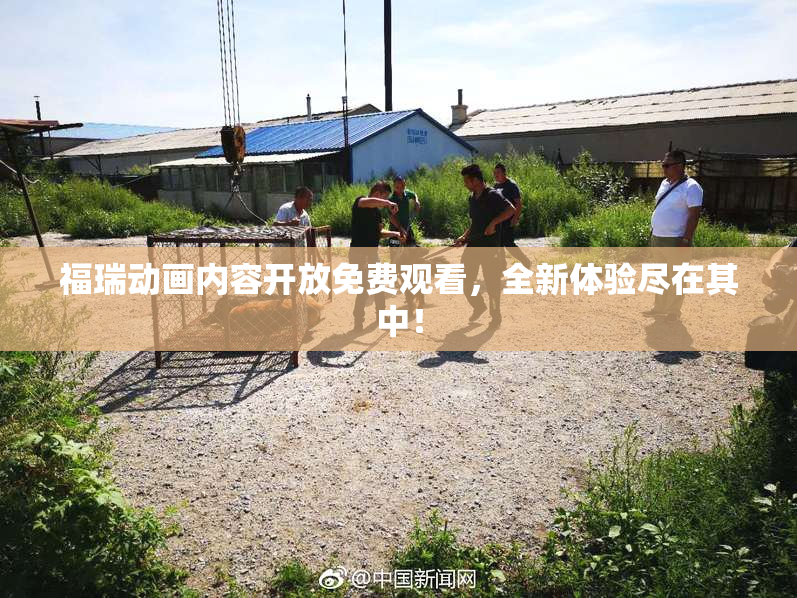 福瑞动画内容开放免费观看，全新体验尽在其中！