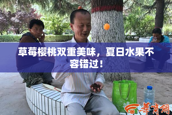 草莓樱桃双重美味，夏日水果不容错过！