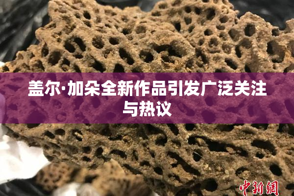盖尔·加朵全新作品引发广泛关注与热议
