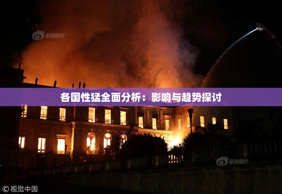 各国性猛全面分析：影响与趋势探讨