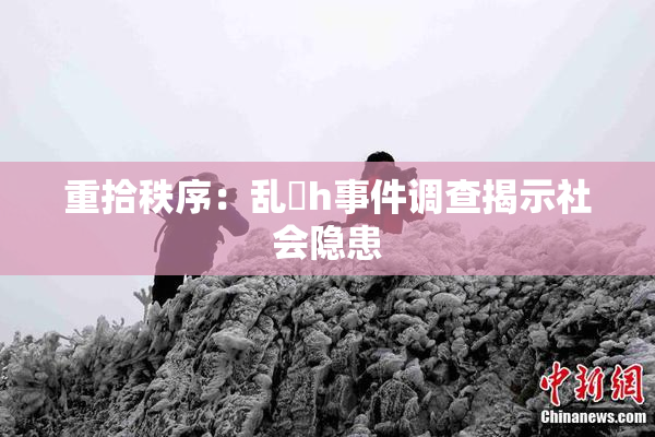 重拾秩序：乱婬h事件调查揭示社会隐患