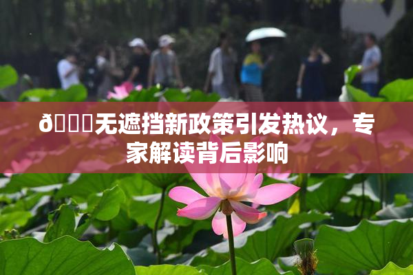 🔞无遮挡新政策引发热议，专家解读背后影响