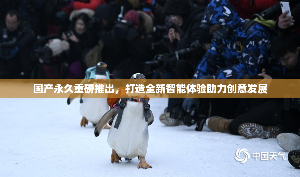 国产永久重磅推出，打造全新智能体验助力创意发展