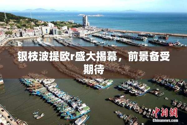 银枝波提欧r盛大揭幕，前景备受期待