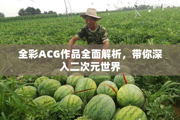 全彩ACG作品全面解析，带你深入二次元世界