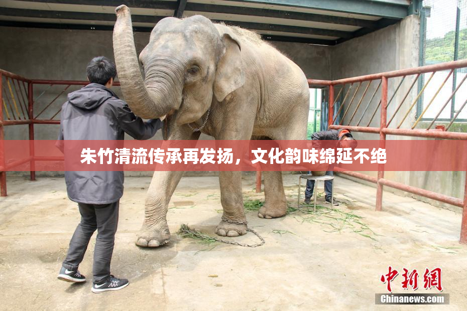 朱竹清流传承再发扬，文化韵味绵延不绝
