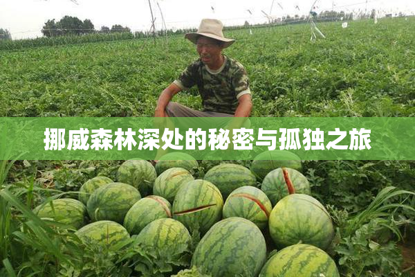 挪威森林深处的秘密与孤独之旅