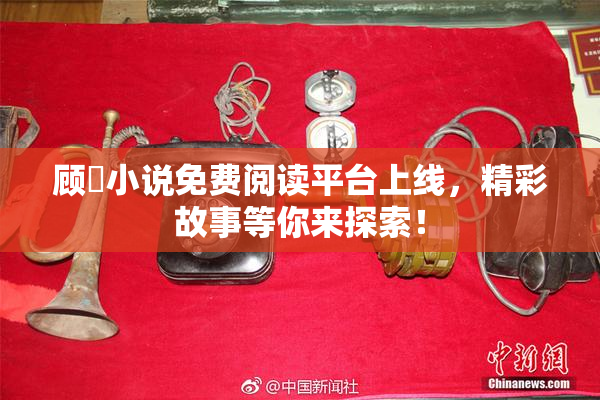 顾嫚小说免费阅读平台上线，精彩故事等你来探索！