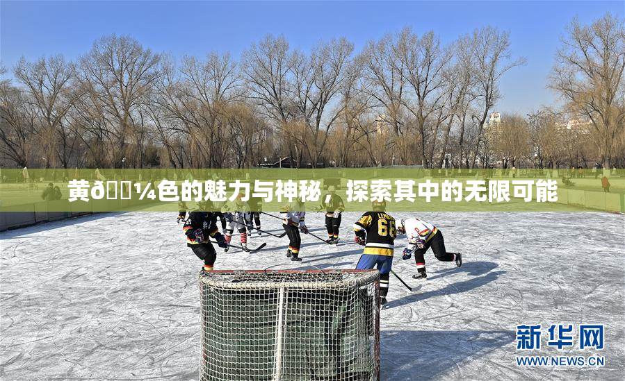 黄🌼色的魅力与神秘，探索其中的无限可能