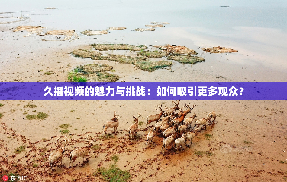 久播视频的魅力与挑战：如何吸引更多观众？