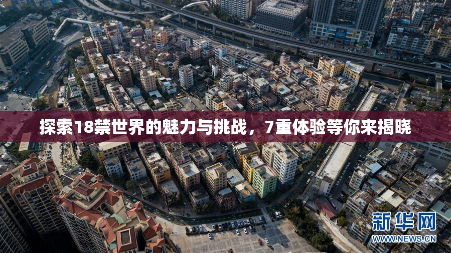 探索18禁世界的魅力与挑战，7重体验等你来揭晓