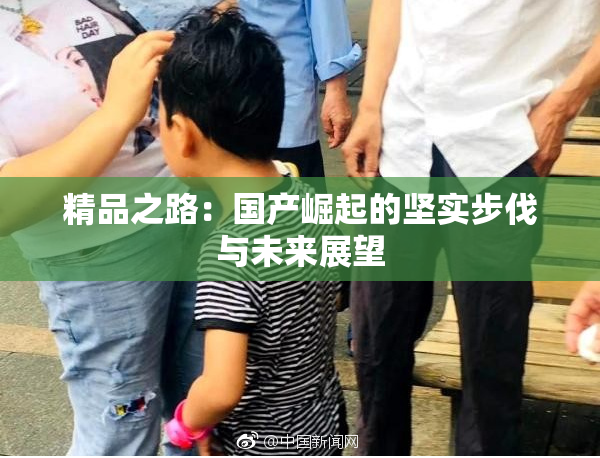 精品之路：国产崛起的坚实步伐与未来展望