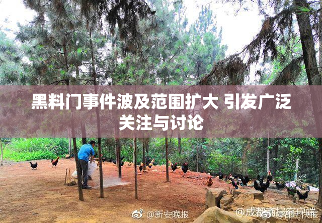 黑料门事件波及范围扩大 引发广泛关注与讨论